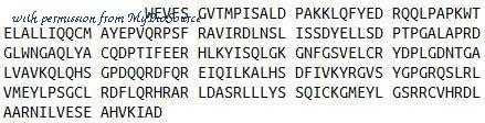 MyBioSource MBS2009482 image 1