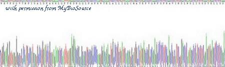 MyBioSource MBS2009482 image 3