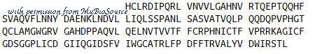 MyBioSource MBS2009658 image 1