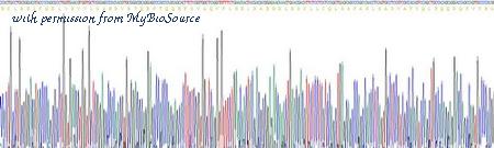 MyBioSource MBS2009658 image 3