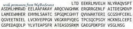 MyBioSource MBS2009681 image 2