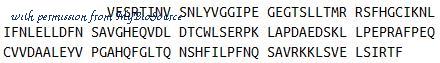 MyBioSource MBS2009836 image 1
