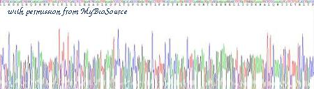 MyBioSource MBS2009891 image 3
