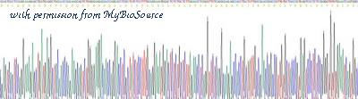 MyBioSource MBS2010028 image 3