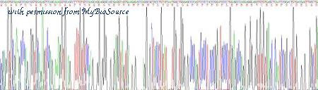 MyBioSource MBS2010076 image 3