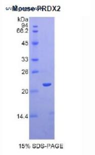 MyBioSource MBS2010800 image 1