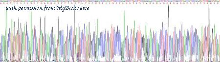 MyBioSource MBS2010984 image 3