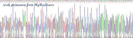 MyBioSource MBS2010997 image 3