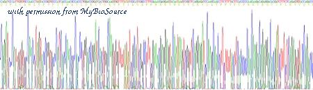 MyBioSource MBS2011236 image 3