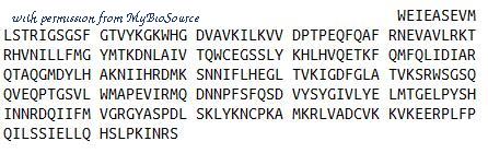 MyBioSource MBS2011343 image 1