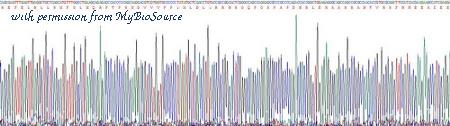 MyBioSource MBS2011481 image 3