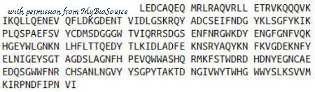 MyBioSource MBS2012143 image 1