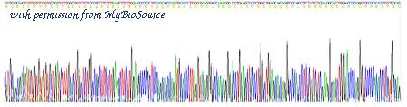 MyBioSource MBS2018594 image 2