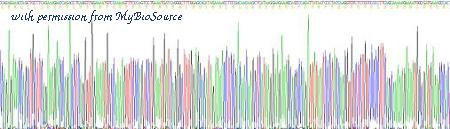 MyBioSource MBS2028995 image 1