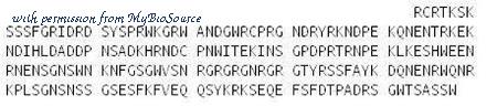MyBioSource MBS2029076 image 2
