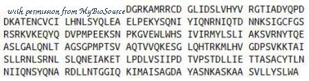 MyBioSource MBS2029229 image 1