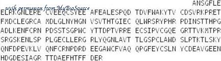 MyBioSource MBS2029665 image 1