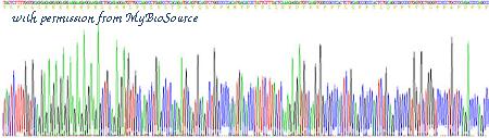 MyBioSource MBS2030030 image 2