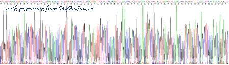 MyBioSource MBS2030725 image 3