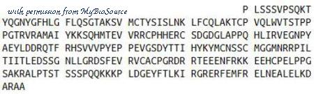 MyBioSource MBS2030765 image 1