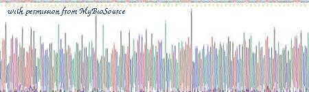 MyBioSource MBS2030844 image 3