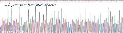 MyBioSource MBS2031404 image 3