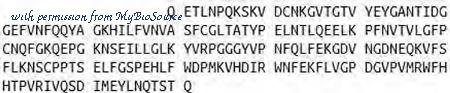 MyBioSource MBS2034592 image 2