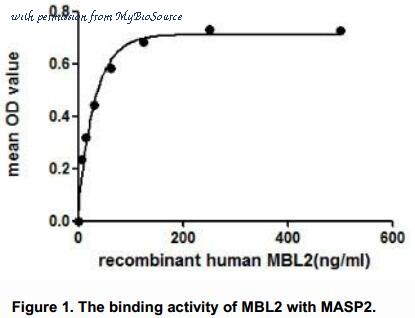 MyBioSource MBS2086086 image 2