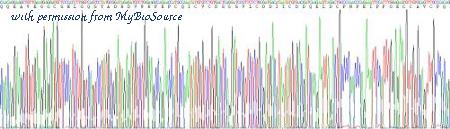 MyBioSource MBS2086718 image 2