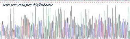 MyBioSource MBS2090439 image 2
