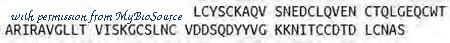 MyBioSource MBS2111462 image 1