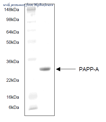 MyBioSource MBS343112 image 1