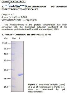 MyBioSource MBS505031 image 1