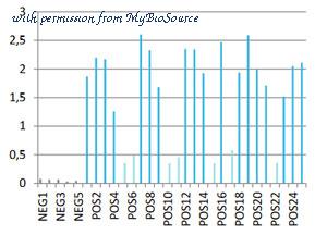 MyBioSource MBS505072 image 3