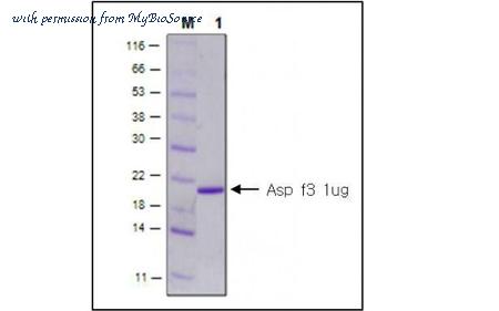 MyBioSource MBS5303717 image 1