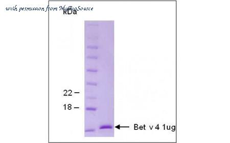 MyBioSource MBS5303767 image 1