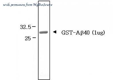 MyBioSource MBS5303915 image 1