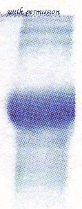 MyBioSource MBS596002 image 1