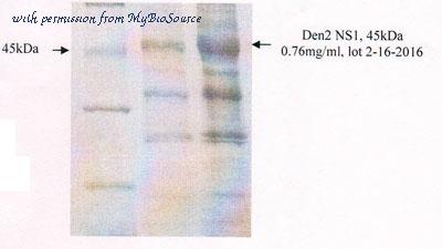 MyBioSource MBS596027 image 1