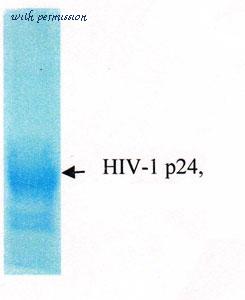 MyBioSource MBS596052 image 1