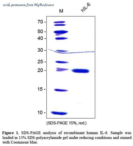 MyBioSource MBS691644 image 1