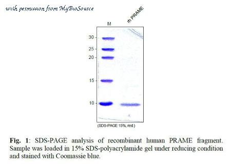 MyBioSource MBS691844 image 1