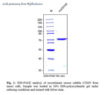 MyBioSource MBS692095 image 1