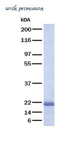 MyBioSource MBS695834 image 1