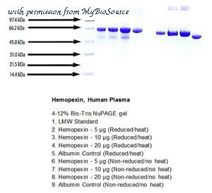 MyBioSource MBS844050 image 1
