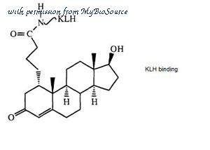 MyBioSource MBS844059 image 2