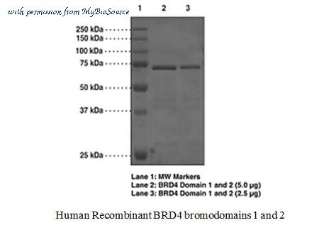 MyBioSource MBS844747 image 1