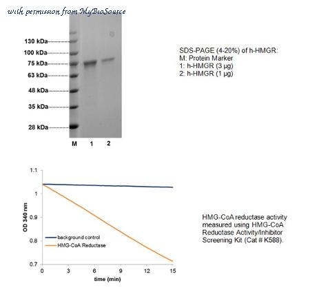 MyBioSource MBS845121 image 1