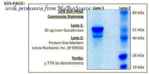 MyBioSource MBS845289 image 1