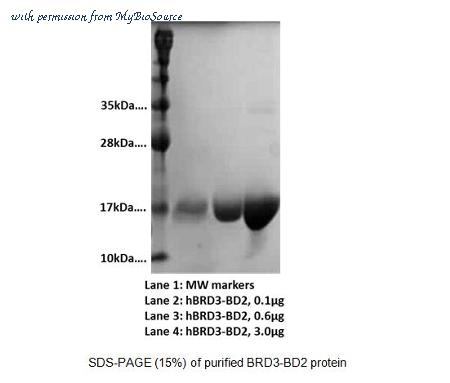 MyBioSource MBS845357 image 1